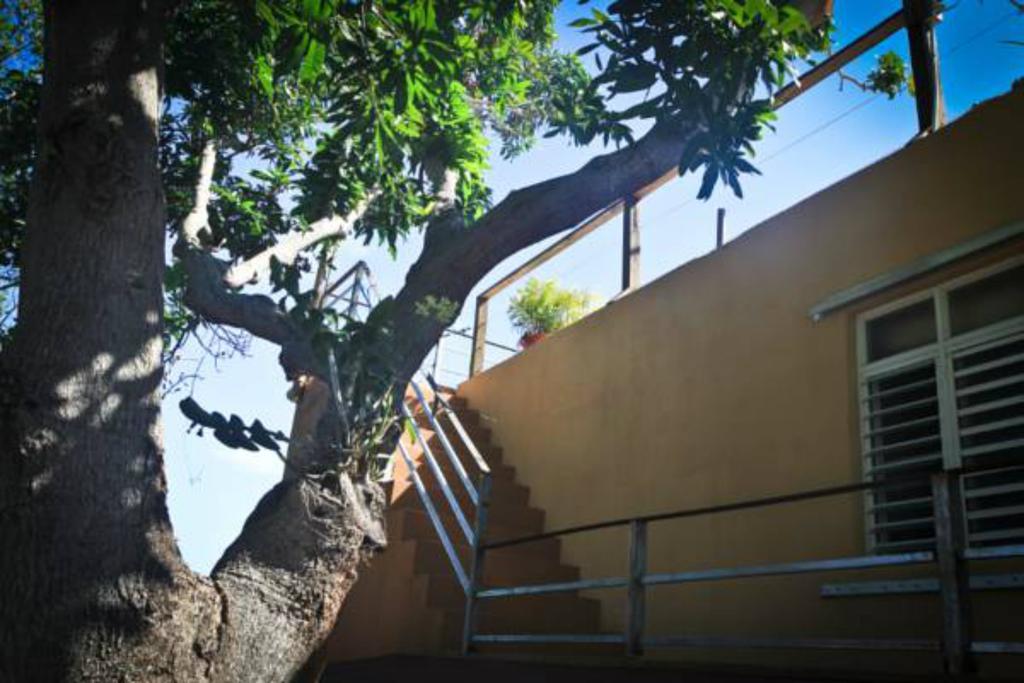 Villa Coral Guesthouse Vieques Eksteriør bilde