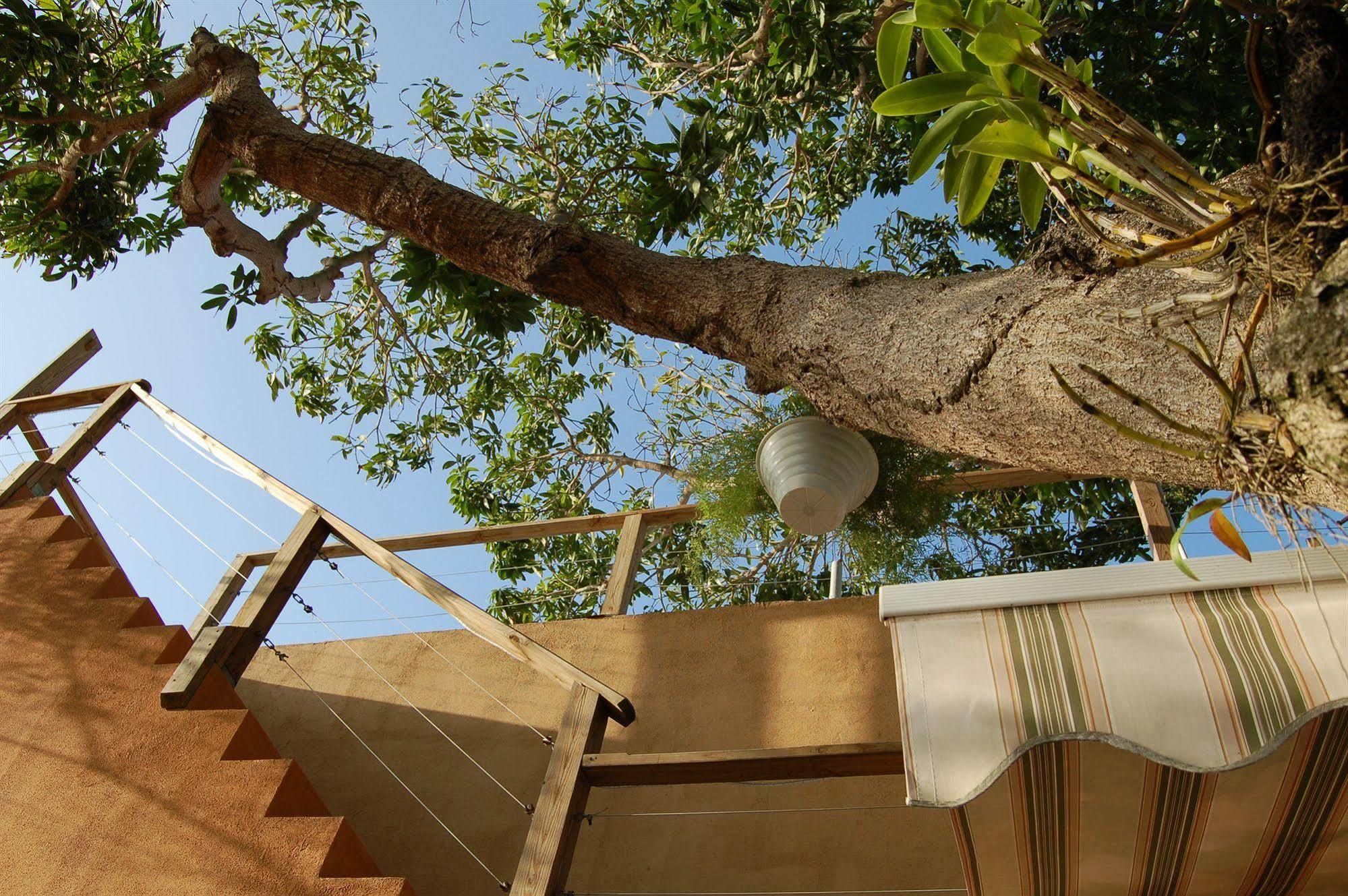 Villa Coral Guesthouse Vieques Eksteriør bilde